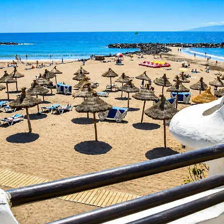 Americas Park - Modern In Parque Santiago Ii Near And Pool Playa de las Americas (Tenerife)